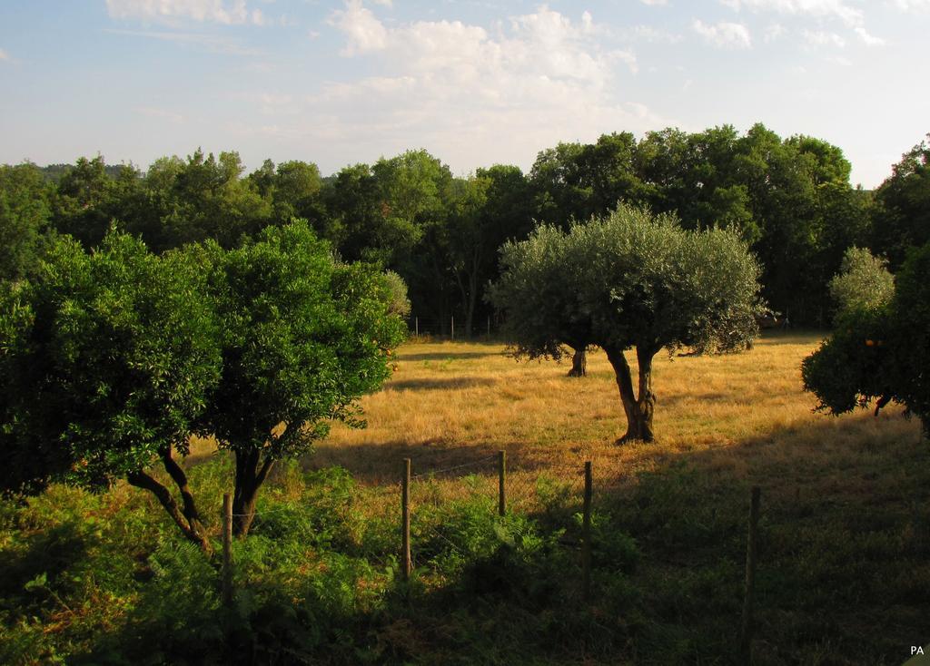 Quinta Do Cerquito Villa Ferreira do Zêzere Екстериор снимка