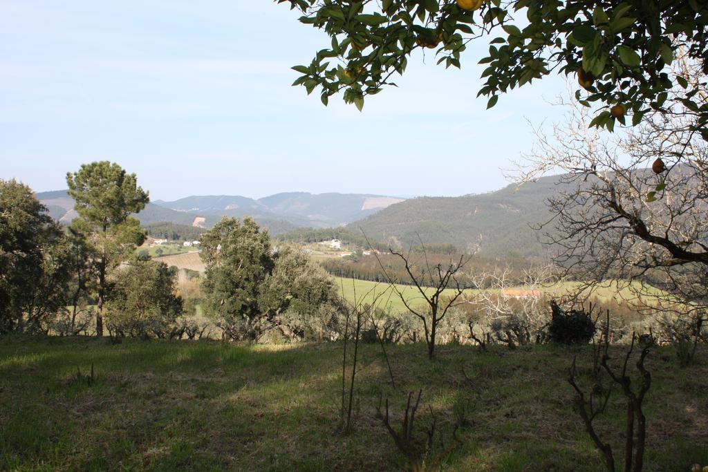 Quinta Do Cerquito Villa Ferreira do Zêzere Екстериор снимка