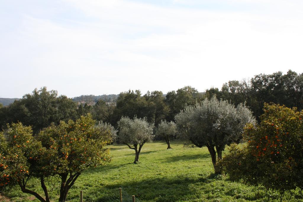 Quinta Do Cerquito Villa Ferreira do Zêzere Екстериор снимка