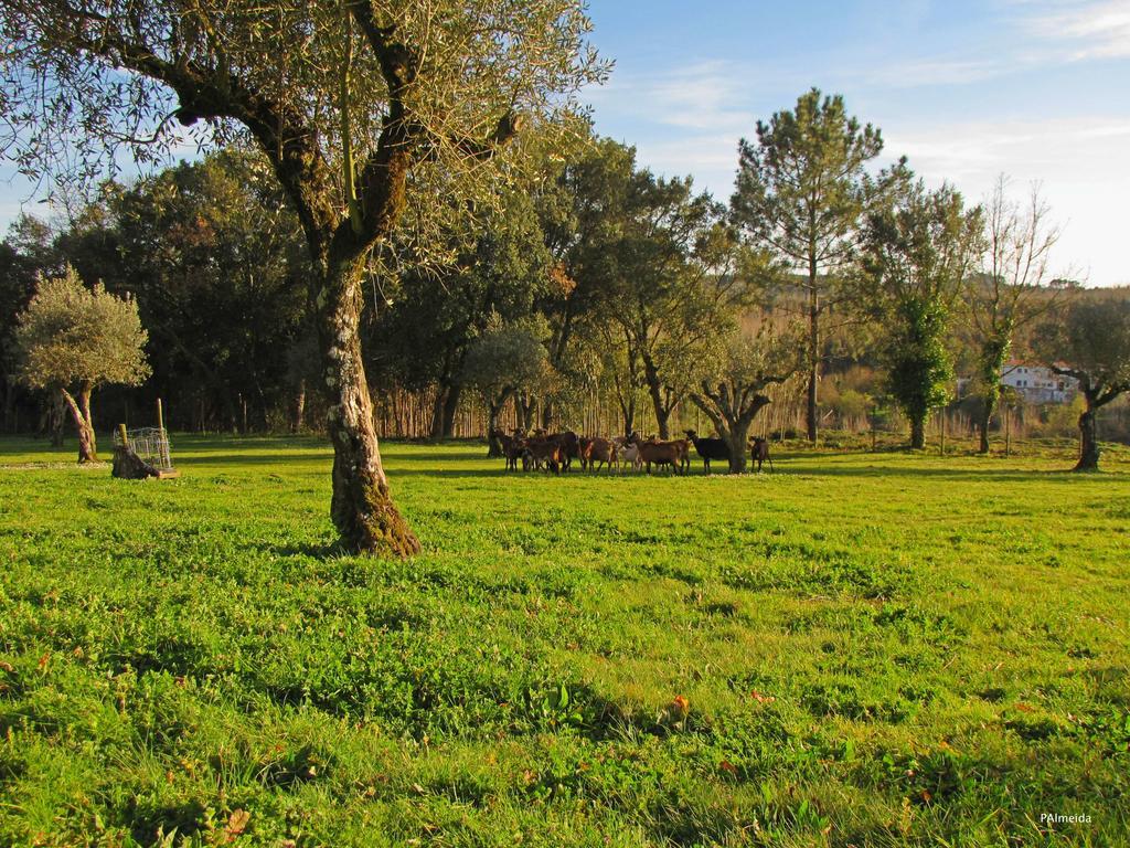Quinta Do Cerquito Villa Ferreira do Zêzere Екстериор снимка