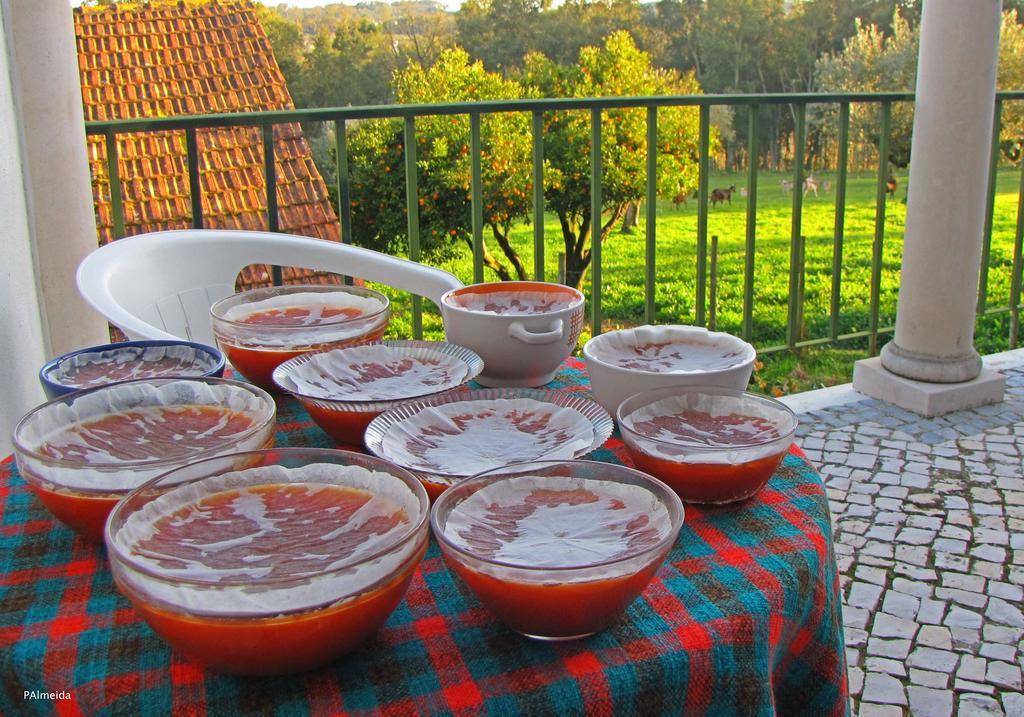 Quinta Do Cerquito Villa Ferreira do Zêzere Екстериор снимка